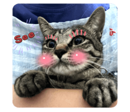 773093379