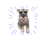 773098087