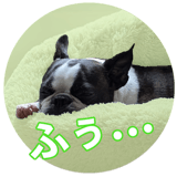 773098729
