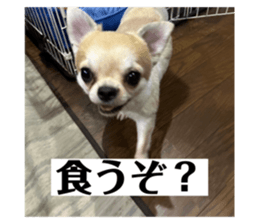 773108735