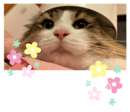 773111779