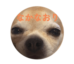773112335
