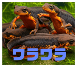 773114366