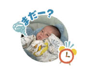 773114904