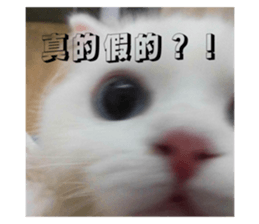 773116295