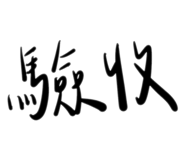 773116520