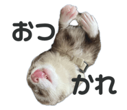 773117487