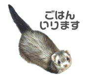 773117491