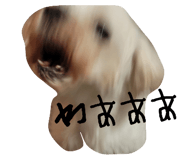773117606