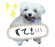 773117609