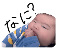 773117662
