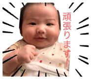 773117665