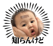773117692