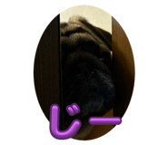 773117821