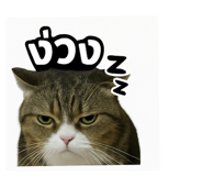 773118226