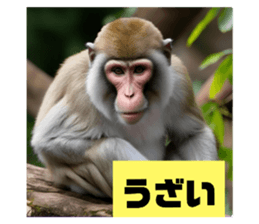 773121220