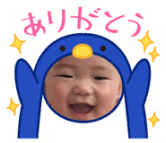773121261