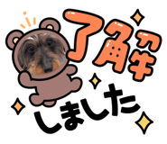 773121501