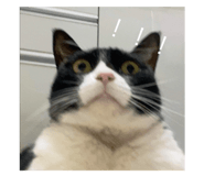773122034