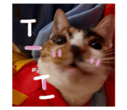 773122051