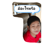 773125294