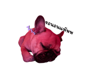 773125458