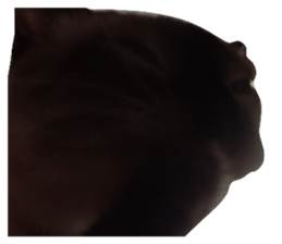 773128534