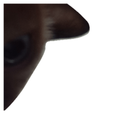 773128546