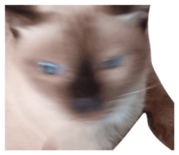 773128563