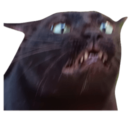 773128565