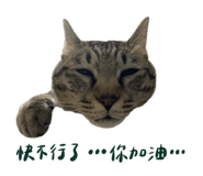 773129217