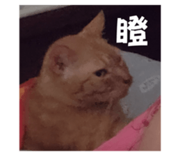 773134653