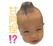773134762