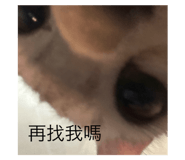 773134862