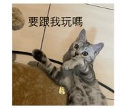 773134865