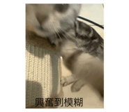773134866