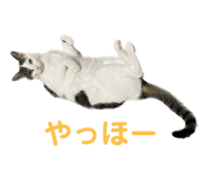773135500
