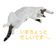 773135504