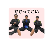 773136000