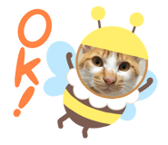 773136522