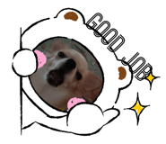 773144396