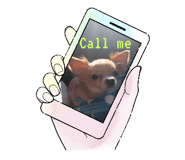 773144410