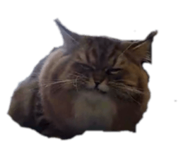 773146875