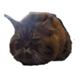 773146880