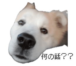 773153170