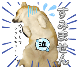 773157522