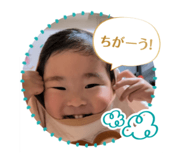 773160443