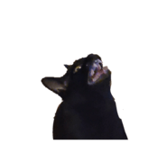 773174165