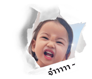 773194942
