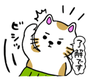 773205500